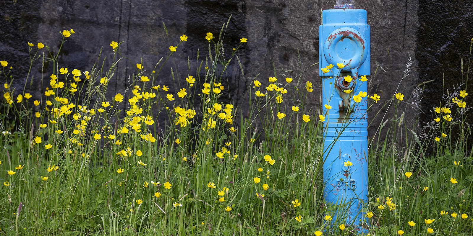 soljur_2juli20_00Q8597