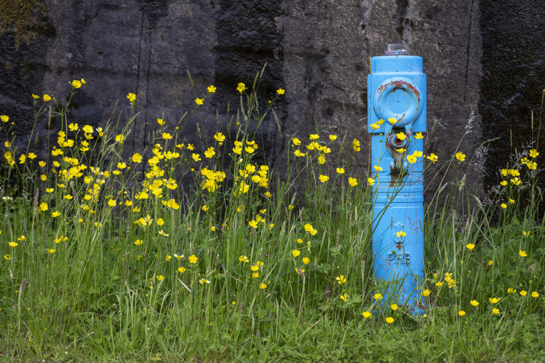 soljur_2juli20_00Q8597