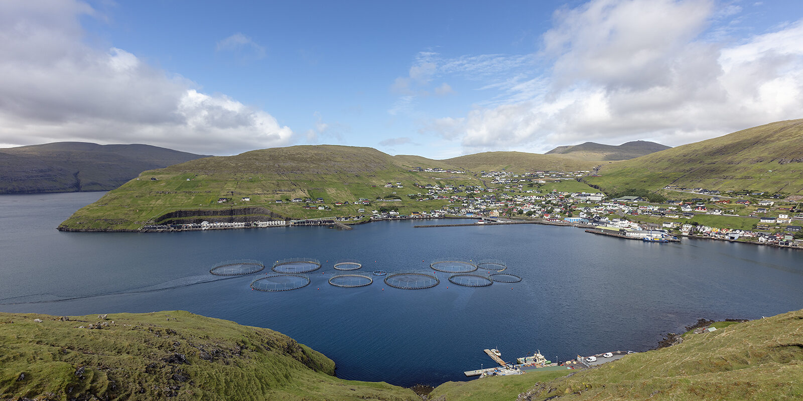 Vestmanna_aliringar_2juli20_75A2438