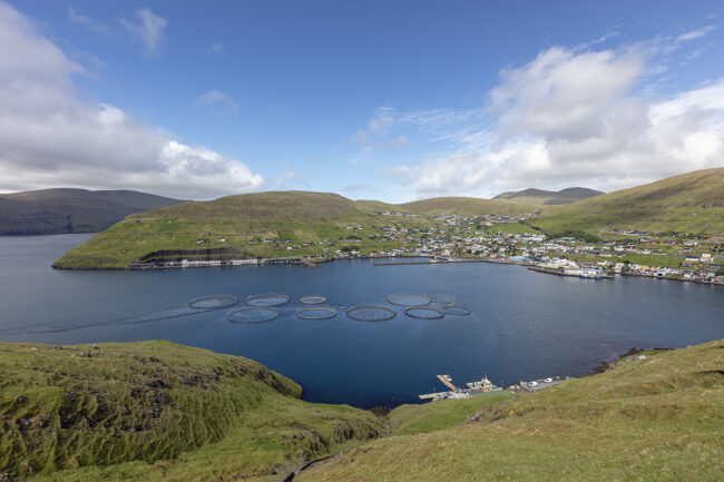 Vestmanna_aliringar_2juli20_75A2438