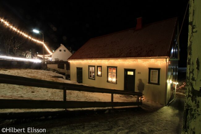 Jólatræð Vestmanna kommuna 2010 088