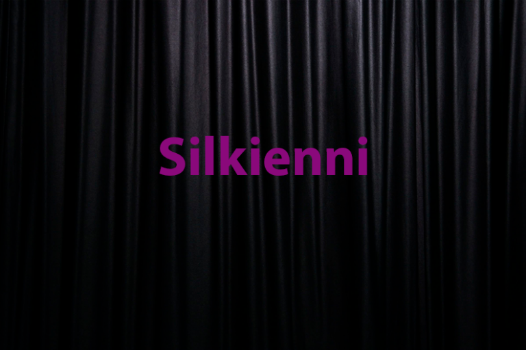 silkienni