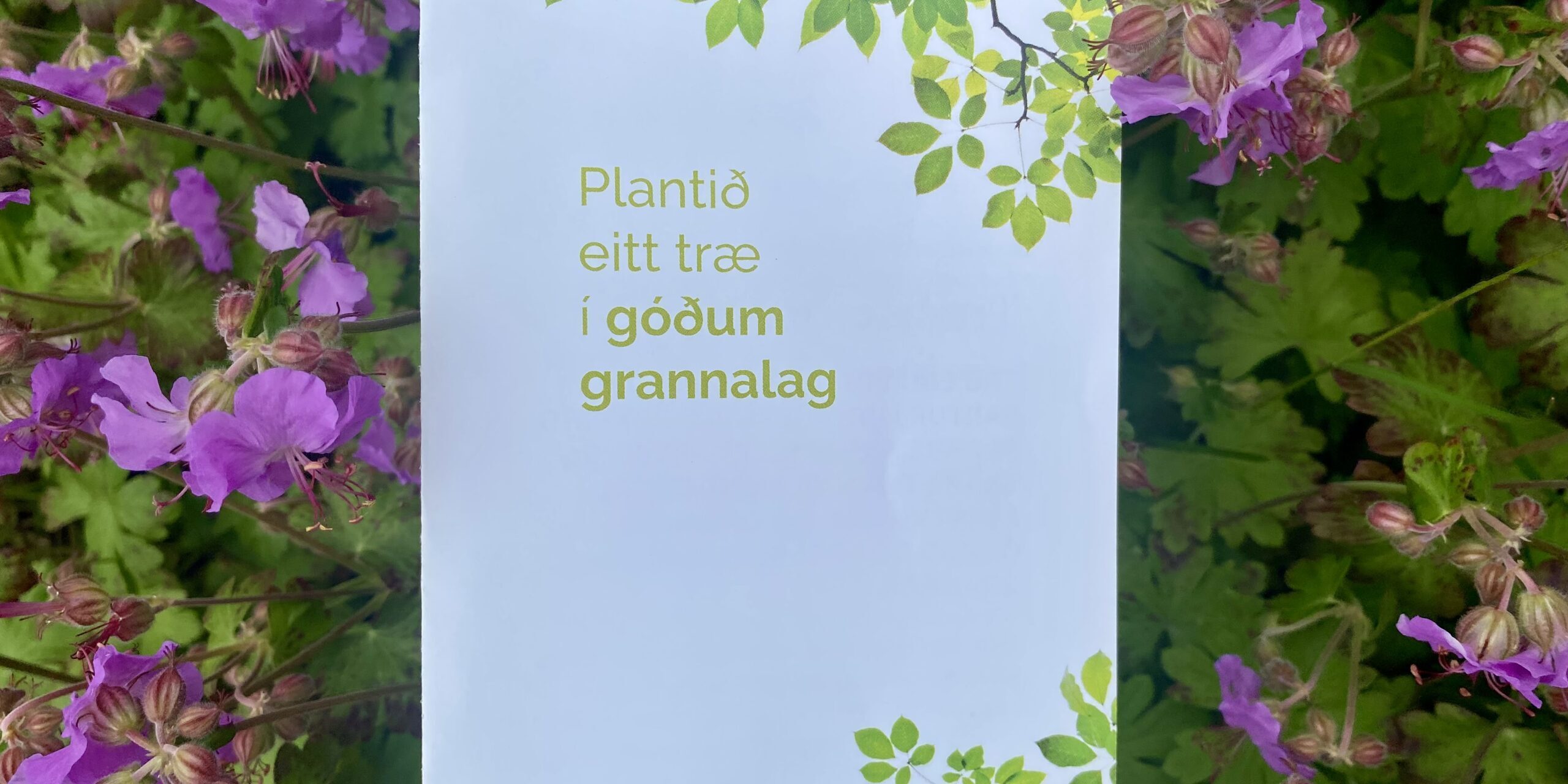 Plantið eitt træ í góðum grannalag