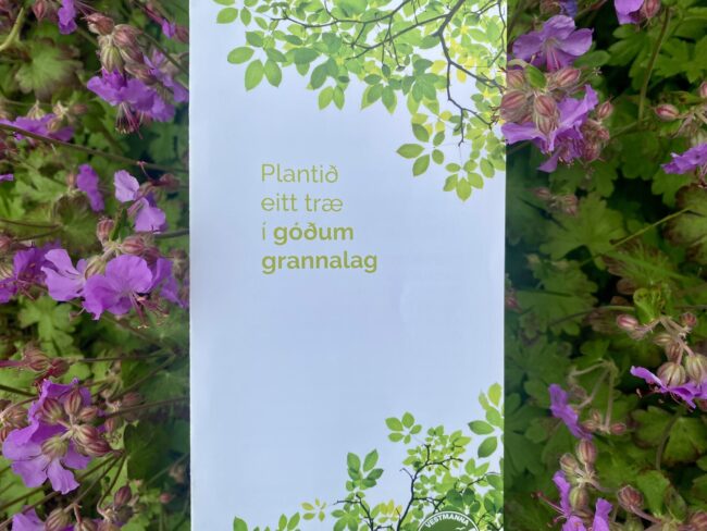 Plantið eitt træ í góðum grannalag