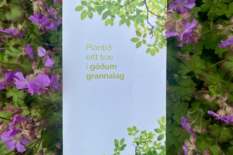 Plantið eitt træ í góðum grannalag