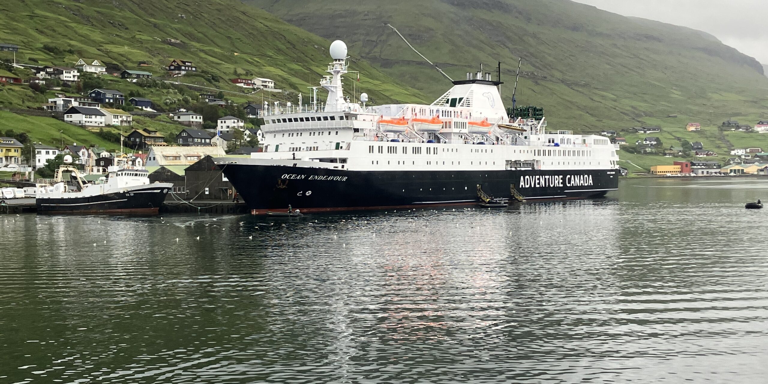 Cruise in Vestmanna Picture of a cruise ship docking at the port of Vestmanna