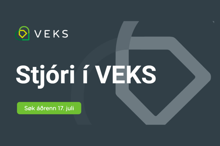 Stjóri í VEKS