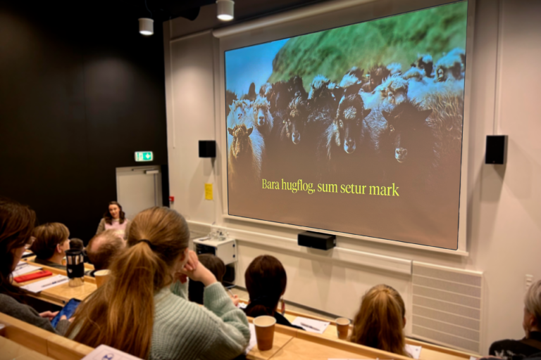 Ferdavinna_hugflog_2024