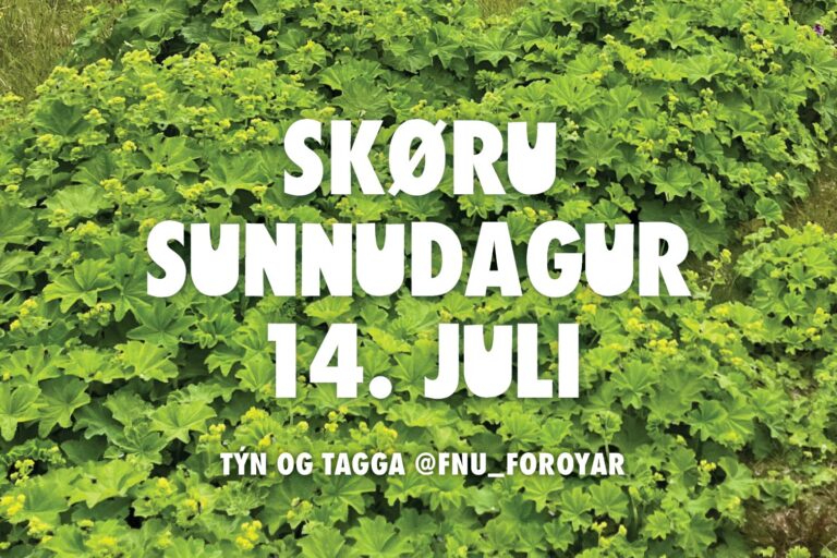 FNU Skøru sunnudagur