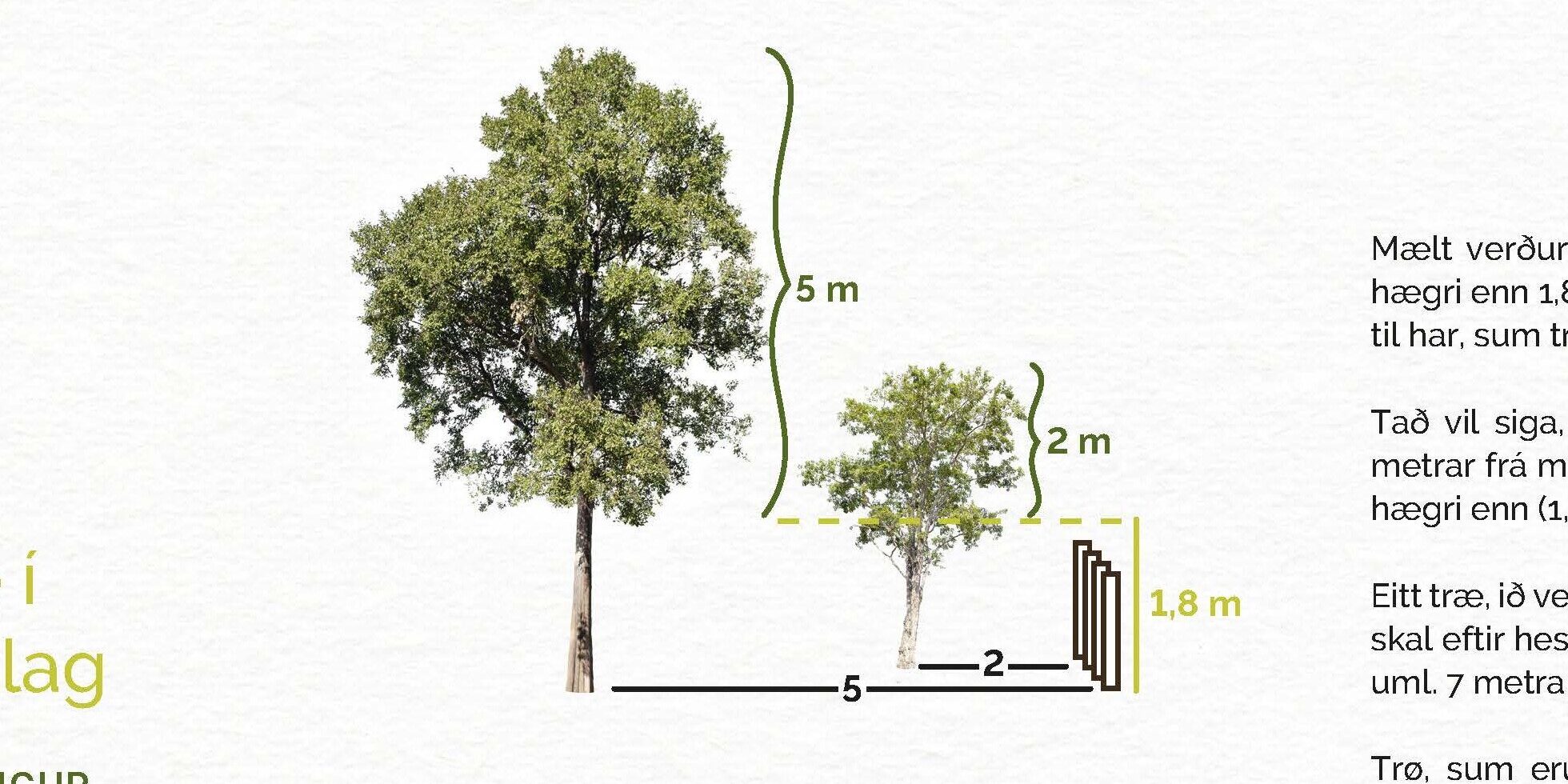 planta_eitt_trae_faldari_Side_2