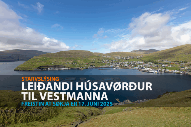 leidandi_hus_03062025