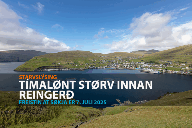 reingerd_timalont_20062025