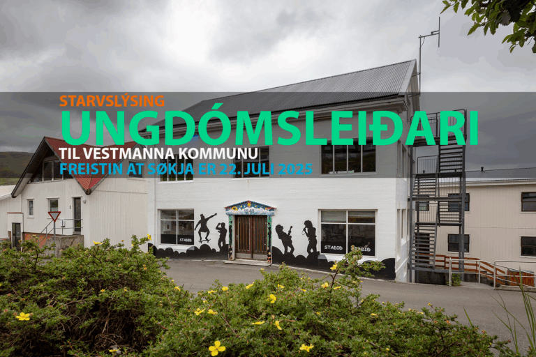 undomsleidari_08072025